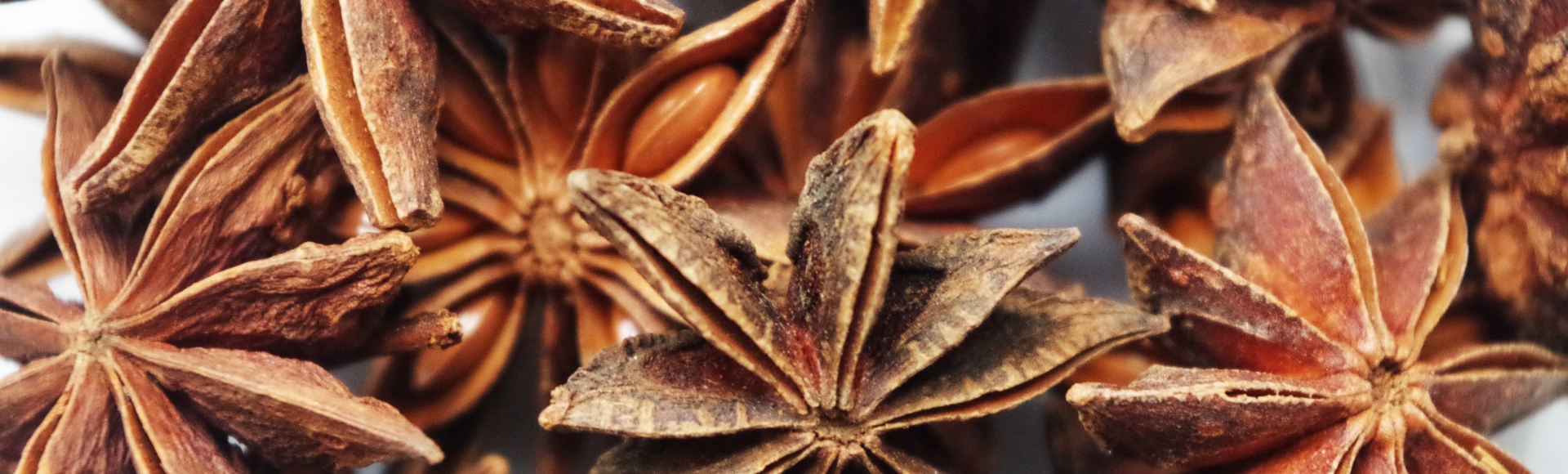 star-anise-1049573